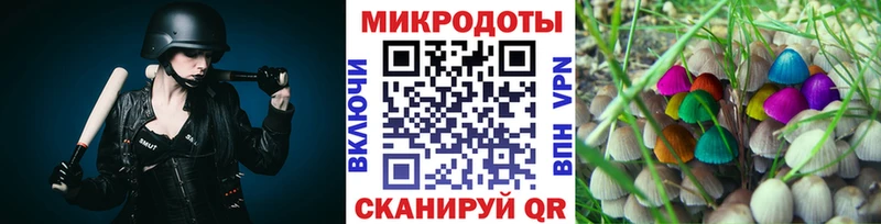 Псилоцибиновые грибы Psilocybe  Купить  Малоярославец 